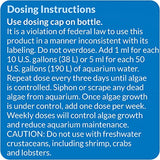 API ALGAEFIX Algae Control 16-Ounce Bottle