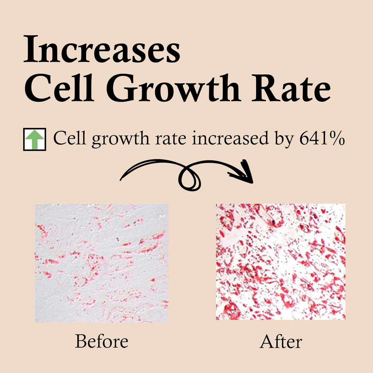 CELDYQUE 100% Pure Volufiline & Bakuchiol 30,000 ppm Concentrate Serum - Skin Firming Solution High Potency Retinol Alternative | Anti-Wrinkle Boosts Collagen for Aging Sagging Mature Skin