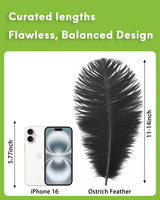 NEWONG 30pcs Black Ostrich Feathers Natural Bulk 11-14inch(28-35cm) Vase Craft Wedding Home Party Centerpieces Christmas Day Decoration