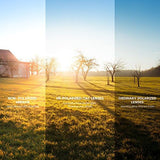 BEACOOL Polarized Sports Sunglasses for Men Women Youth Baseball Cycling Running Driving Fishing Golf Motorcycle TAC Glasses