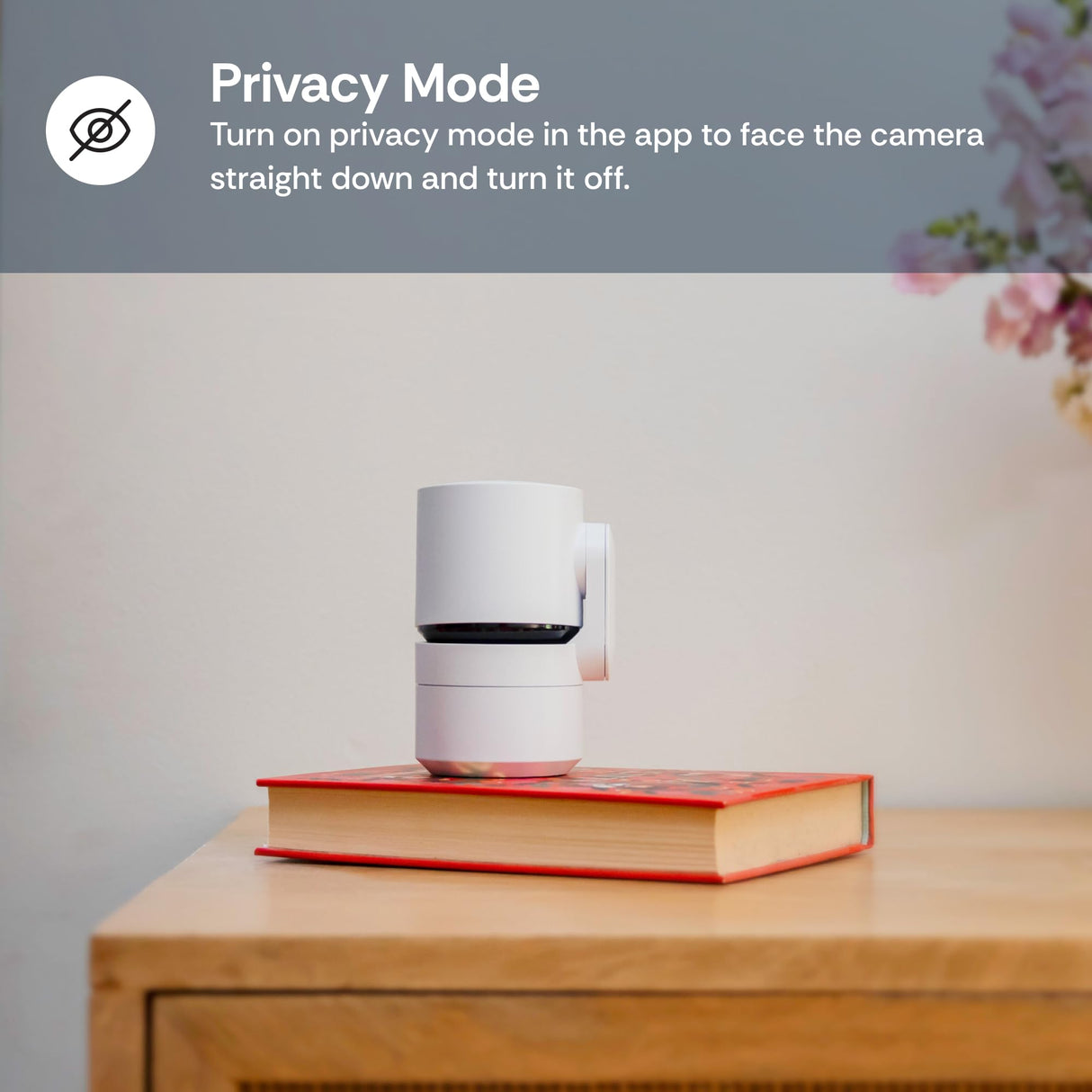 Luna Cameras for Home Security Indoor, Advanced AI Motion Detection, 360° Pan/Tilt, Plug-in, Night Vision, 2.4GHz Wi-Fi, 2-Way Audio, Nanny Pet Dog Camera with Phone App (Black)