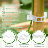 FXOICMI Plant Support Clips, Plastic Garden Fixing Clips for Climbing Plants Tomato Grape Vines, Greenhouse Garden Clips to Keep Plants Upright & Healthy (100, Green)