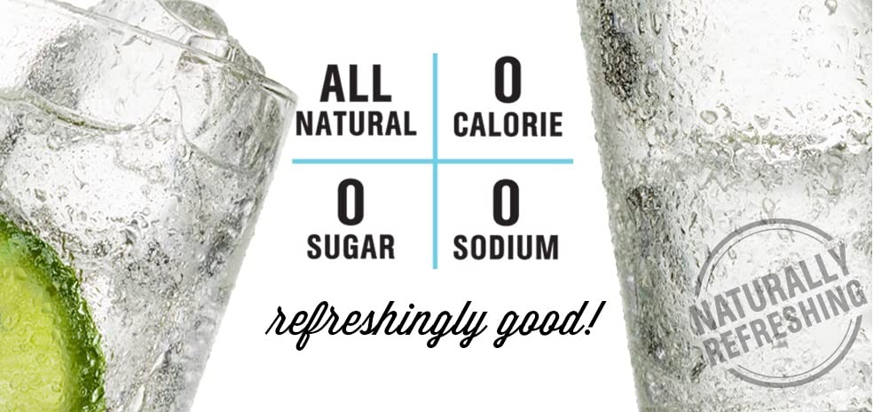 Hal's New York Seltzer Carbonated Vanilla Cream Flavored Sparkling Water, Zero Sugar, Zero Calorie, Zero Carbs, 20 Fl Oz (Pack of 24)