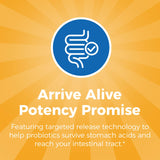 NewRhythm Probiotics 50 Billion CFU 20 Strains, 120 Veggie Capsules, Targeted Release Technology, Stomach Acid Resistant, No Need for Refrigeration, Pack of 1, Non-GMO, Gluten Free