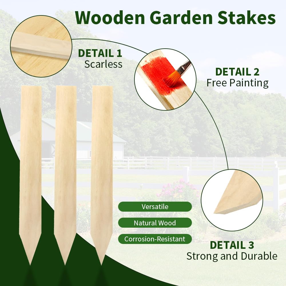 Layrslot 30 Pcs 12 Inch Wooden Garden Stakes, Wooden Stakes for Signs, Grade and Survey Stakes for Plant Support, Silt Fence, Farm Survey Boundaries, Baselines