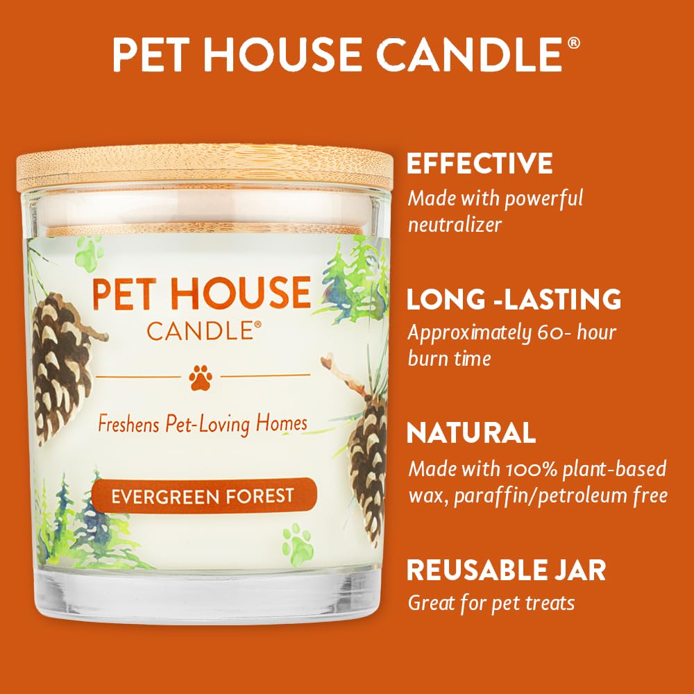One Fur All Pet House Christmas Candles, Long Lasting, Clean Burning, Soy Wax Scented Candles for Pet Odor, Evergreen Forest