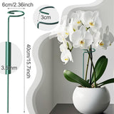Fabulas 24 Pack Plant Support Stakes, 16 Inch Metal Garden Plant Stakes Single Stem Support Rings for Indoor Outdoor Amaryllis, Flowers Orchid, Lily, Peony, Rose, Tomato, Monstera, Narcissus