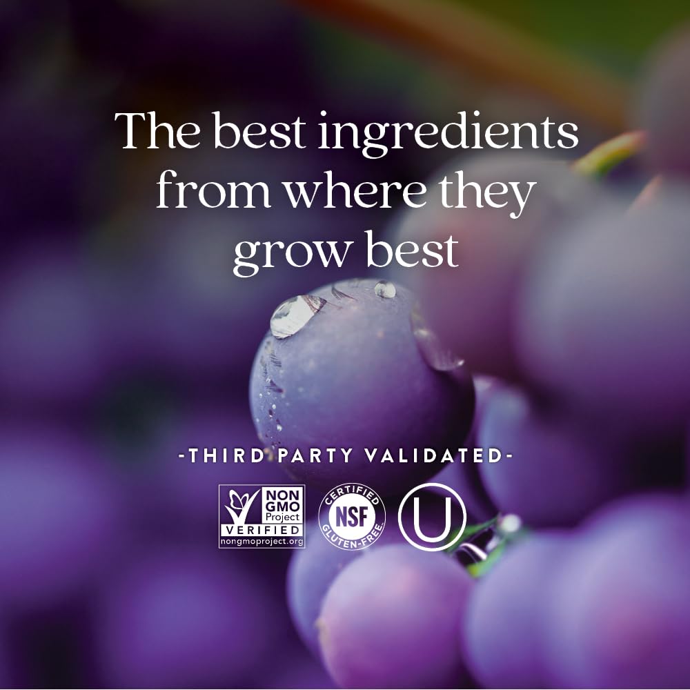 New Chapter Blood Pressure Supplement Take Care with Organic, Vegan Grapeseed + Black Currant + Non-GMO Ingredients, 30 Count