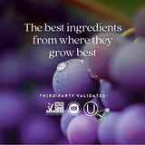 New Chapter Blood Pressure Supplement Take Care with Organic, Vegan Grapeseed + Black Currant + Non-GMO Ingredients, 30 Count