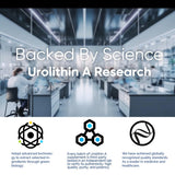 DQQI Urolithin A Supplement 2000 mg - 120 Capsules Unleashing Powerful Antioxidant Shield, Boosting Healthy Aging & Mitochondrial Health and Cell Repair Support for Men & Women