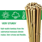 Mininfa Natural Bamboo Stakes 4 Feet, Eco-Friendly Garden Stakes, Plant Stakes Supports Climbing for Tomatoes, Trees, Beans, 25 Pack