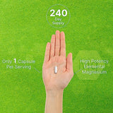 Magnesium Glycinate 500mg, 240 Veggie Capsules | Chelated | Highly Purified Essential Trace Mineral for Muscle, Joint, Heart, & Digestive Health