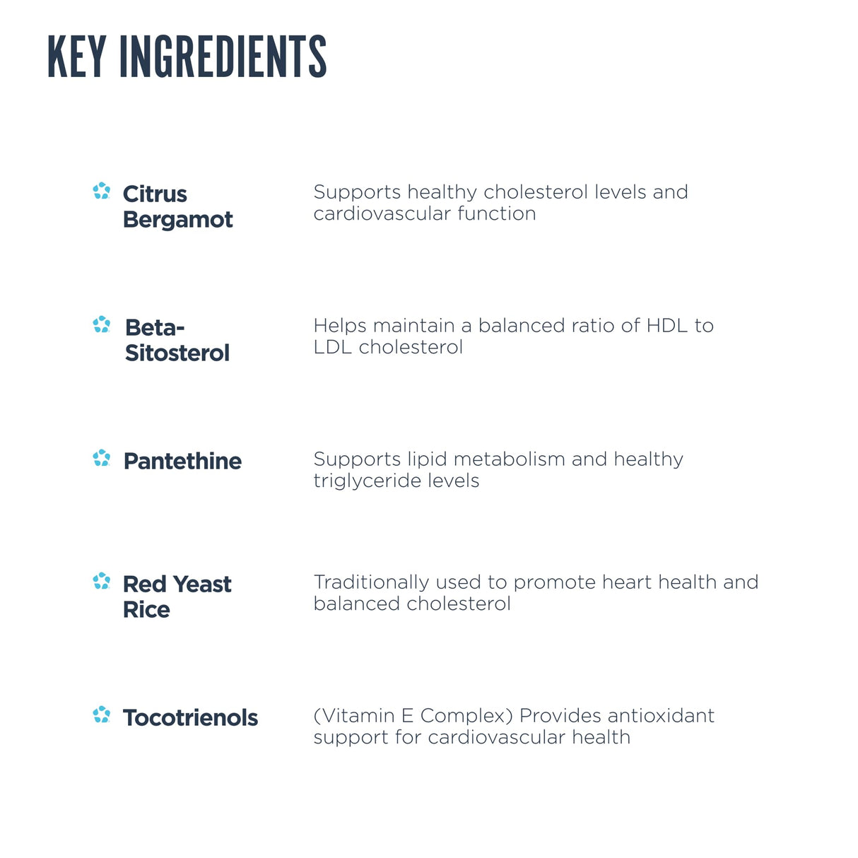 Revive MD Lipid Support Formula - Supplement Helps Maintain Healthy Cholesterol Levels, Endothelial Health & Triglyceride Levels - Beta Sitosterol, Citrus Bergamot & Pantethine