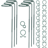 Plant Stake Support, Adjustable Height 16" or 30" for Garden Support Stake