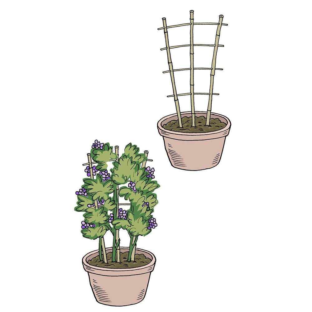 Natural Bamboo Trellis 24 Inches Tall, Mininfa Garden Ladder Trellis, Plant for Climbing Plants, Vegetables, Pots - 3 Pack