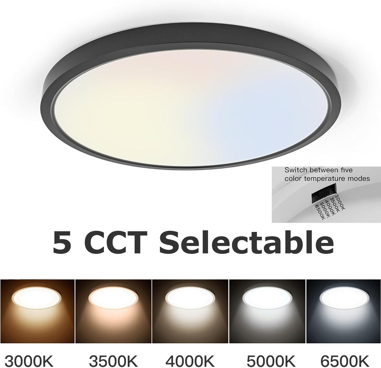 TALOYA Flush Mount LED Ceiling Light Fixture Black,12 Inch 20 Watt, Thin Ceiling Lamp Surface Mount for Kitchen Bedroom Utility Laundry Closet Room,5 Color Temperatures in One