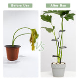 3PCS Indoor Plant Support Stakes - Sturdy Metal Trellis for Houseplants