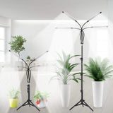 GHodec Grow Light Free Standing, 5500K Full Spectrum Gooseneck LED Lamp