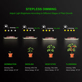 AGLEX K1000 LED Grow Light, Grow Light with Daisy Chain & Dimmable, Full Spectrum Plant Grow Lights for Hydroponic Indoor Plants Seeding