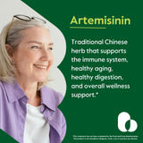 BESTVITE Artemisinin 500mg per Capsule (60 Vegetarian Capsules) - No Stearates - No Flow Agents - No Fillers - Vegan - Gluten Free - Non GMO