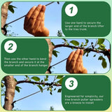 IXIGER 20 PCS Tree Limb Spreader Set – Fruit Tree Branch Puller, Heavy-Duty Limb Spreaders for Fruit Trees with Branch Support Function (7 Inch & 10 Inch)
