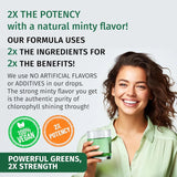 (2 Pack) Vegan Chlorophyll Liquid Drops 7000mg for Immune Support, Energy, Gut & Skin Health, 4-in-1 Liquid Chlorophyll Drops - 100mg, Spirulina, Chlorella, & Copper - Internal Deodorant, 4 Fl Oz