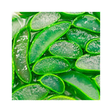 Holika Holika [1+1] Aloe Waterproof Sun Cream SPF50+ PA++++ / 홀리카홀리카 [1+1] 알로에 워터프루프 선크림 SPF50+ PA++++