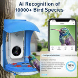 Hummingbird Feeder with Camera, Smart Bird Feeder with Camera Solar Powered, Free AI Identify Bird Species, Auto Capture Bird Videos, Ideal Gift for Bird Lover (2.4G HZ WiFi)