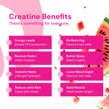 Create Creatine Monohydrate Gummies for Men & Women - Boost Focus, Strength, and Endurance, Anti-Melting Formula, Vegan, Gluten-Free, Non-GMO, 1.5 Gram Creatine per Gummy (Watermelon, 90 ct)