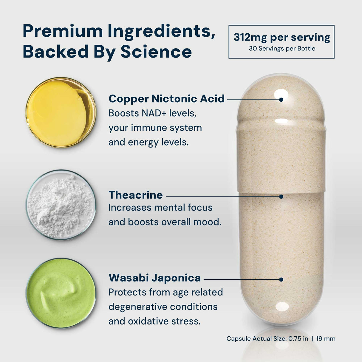 HPN NAD+ Booster (NAD3), Anti Aging Cell Booster, NRF2 Activator, Nicotinamide Riboside Alternative, NAD Supplement Natural Energy, Longevity, and Cellular Health, 312 Mg per Serving (1 Month Supply)