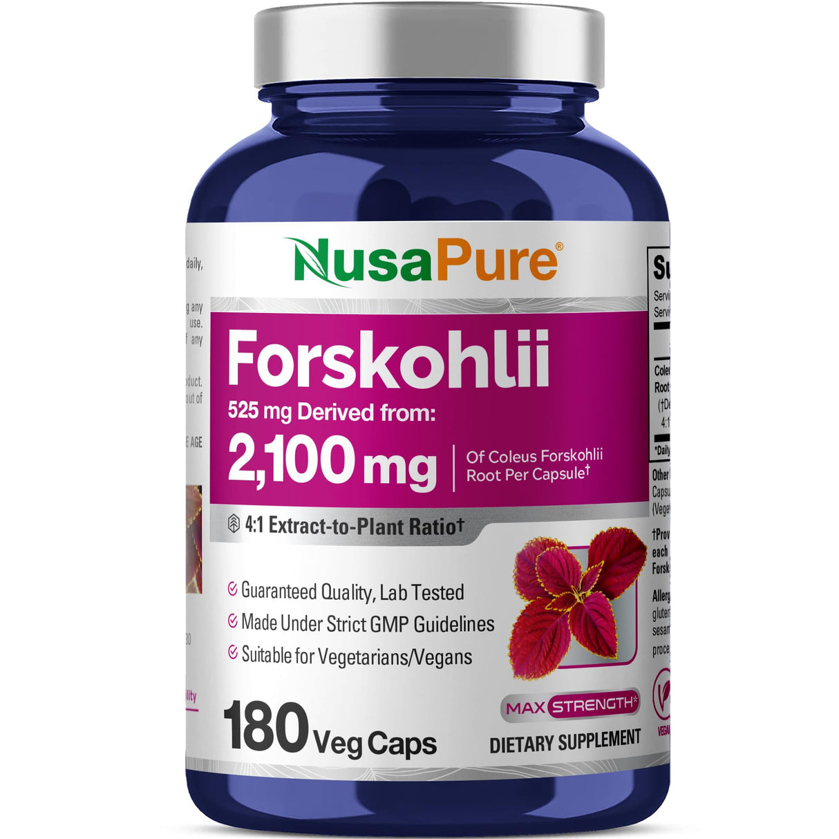 NusaPure Forskohlii 4:1 Extract, 525 mg Equivalent to 21,00 mgper Veggie Caps - 180 Capsules (Non-GMO, Gluten Free)