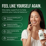 auniva Amla Capsules 1000mg – Indian Gooseberry Amla Fruit Supplement – Amla Powder for Antioxidant, Energy & Digestive Support – Ayurvedic Wellness Formula – 60 Capsules
