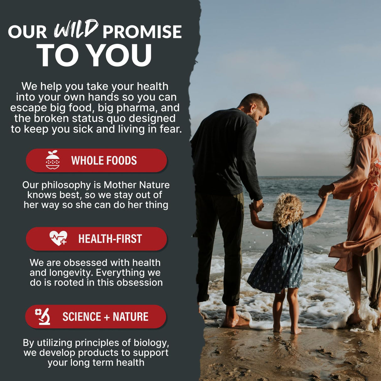 Wild Foods Men's Vitality Formula – Grass-Fed Bovine Supplement & Beef Liver Capsules with Testicle, Prostate, Whole Bone | Primal and Carnivore Diet Approved | 90 Organ Meat Capsules (30-Day Supply)