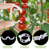 HFXXAD 60Pcs Tomato Hooks with String, Tomato Support Hooks, Tomato Holder Hooks & Plant Support Clips with 33.3ft Twine to Prevent Tomatoes from Pinching or Falling Off