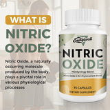 Nitric Oxide Supplement for Men - Precursor and Phytonutrient Blend for Energy, Oxygenation, and Blood Pressure (1 Pack)