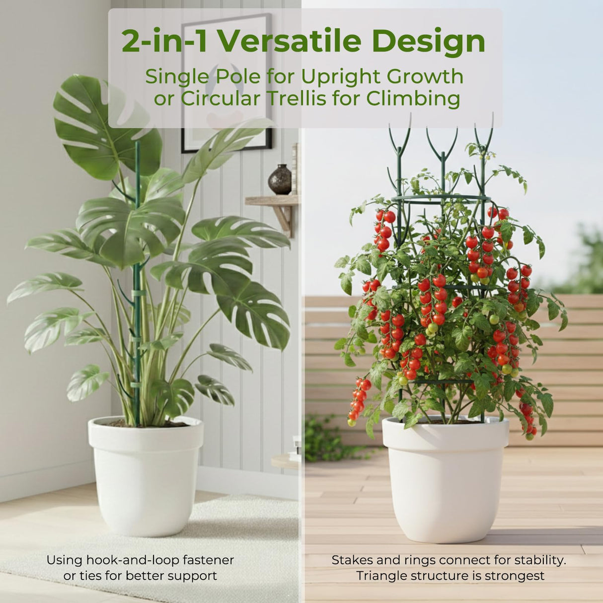 Monstera Plant Support Stakes Indoor - 10 Pack Stackable Garden Trellis for Potted Climbing Pothos Support - Durable All-in-One Tall Plant Sticks Pole for Modern Home Gardening (10 Pack)