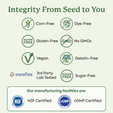 Plant People WonderFocus Mushroom Gummies with Lion’s Mane & Cordyceps - Nootropic Brain Supplement Boosts Memory, Focus, Energy & Mood in Adults | No Sugar, 100% Vegan, Citrus Flavor, 60 Count