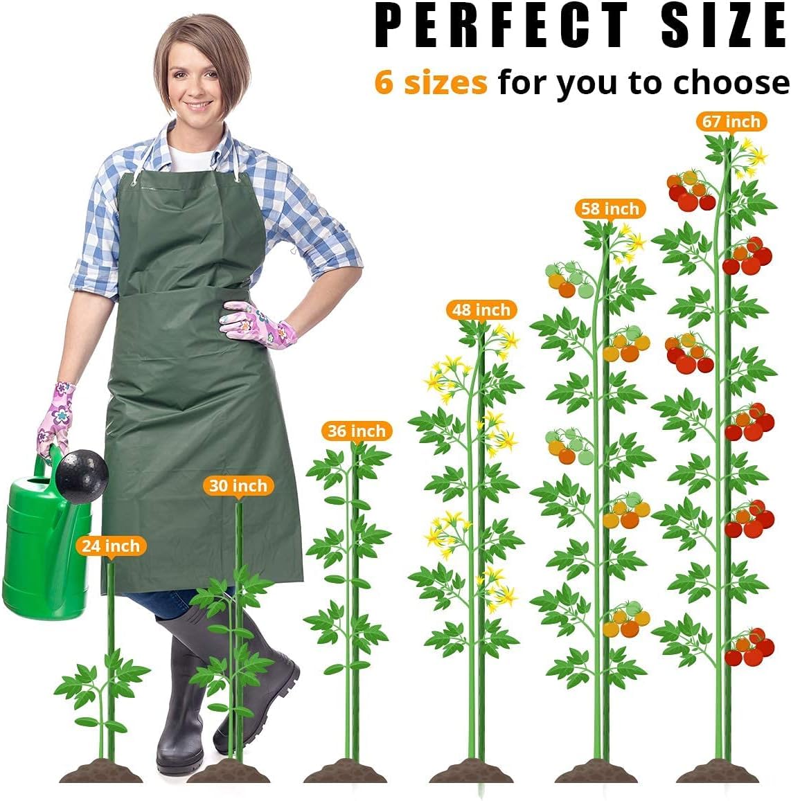 LAVEVE Garden Stakes 48-Inch Heavy Duty Steel Plant Stake with Plastic Coat
