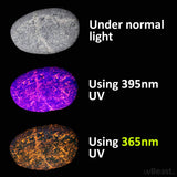 uvBeast V3 365nm Black Light UV Flashlight – High Definition Ultraviolet - HIgh Power and Long Range Professional Grade Beam Best for Professional/Commercial Use – USA Stock
