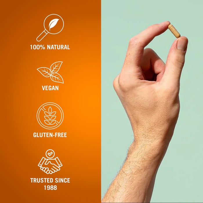 Century Systems The Cleaner Detox, Powerful 14-Day Complete Internal Cleansing Formula for Women, Support Digestive Health, 104 Vegetarian Capsules