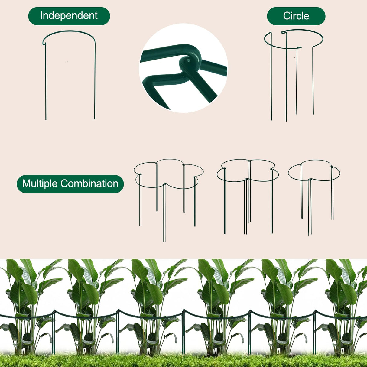 Tall Heavy-Duty 24in Plant Support Stakes - 8 Pack Adjustable Peony Cages & Supports for Outdoor Plants, Half-Round Garden Stakes for Hydrangea, Roses with Extension Stakes