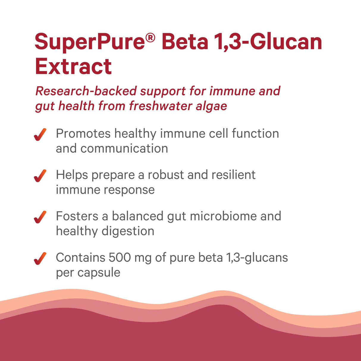 PURE SYNERGY SuperPure Beta 1,3-Glucan Extract | 500 mg Beta 1,3-Glucan Supplement from Algae | Yeast-Free, Non-GMO, Standardized Extract | Supports Immune Health & Digestion (60 Capsules)