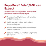 PURE SYNERGY SuperPure Beta 1,3-Glucan Extract | 500 mg Beta 1,3-Glucan Supplement from Algae | Yeast-Free, Non-GMO, Standardized Extract | Supports Immune Health & Digestion (60 Capsules)