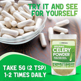 XPRS Nutra Organic Celery Powder - Celery Organic Fresh Powder Antioxidant - Premium Celery Powder Organic - Vegan Friendly Celery Fresh Powder (8 Ounce)
