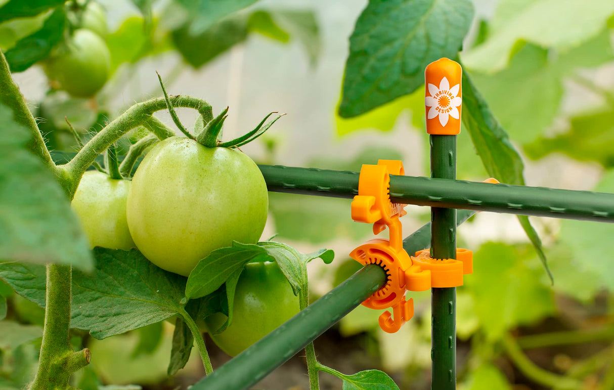 C-BITE Plant Support Clips for Trellis, Garden Stakes, Wire Fence, Climbing Plants, Indoor Gardening, Hydroponics Systems, and Vines | Durable Gardening Clips (Incognito Green - 100 Pack)