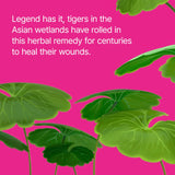 Dr.Jart+ Cicapair™ Tiger Grass Camo Drops Tinted Face Serum SPF 35 with Centella Asiatica | cc cream | Korean Skin Care, 1.01 Fl Oz