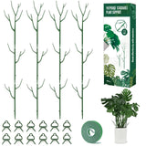 Yhtpouqe 12 Pack Plant Support Stakes, Plant Stakes for Indoor and Outdoor Plants. 39.37inch Plant Sticks with Extension Poles, Plant Clips, Plant Ties for Potted Monstera Plants, Climbing Plants