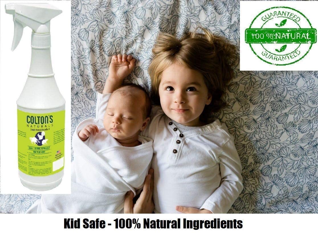 Cat Repellent Outdoor Spray Indoor (32 OZ) 100% Organic & Natural Yard Furniture Repellant