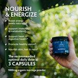 TRIBE ORGANICS 1800mg Organic Moringa Oleifera Powder for Energy | Joints | Brain Function - High Potency Nutrient Rich Greens Superfood | Natural Leaf Plant Protein | Antioxidant - 120 Vegan Capsules