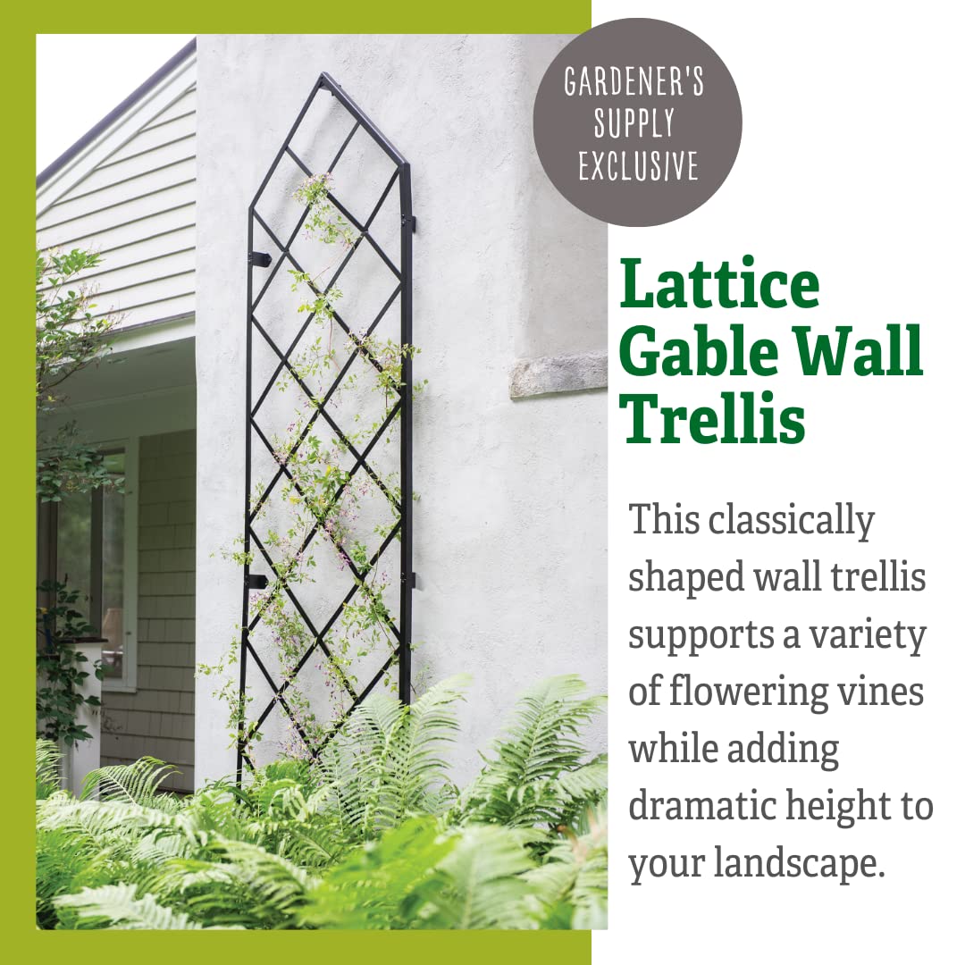 Gardener's Supply Company Lattice Gable Wall Trellis, 32" W x 113.5" H